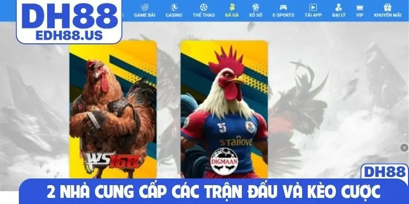 2 nhà cung cấp các trận đấu và kèo cược hấp dẫn