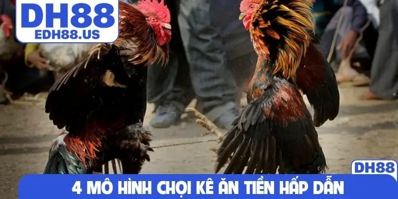 4 mô hình chọi kê ăn tiền hấp dẫn