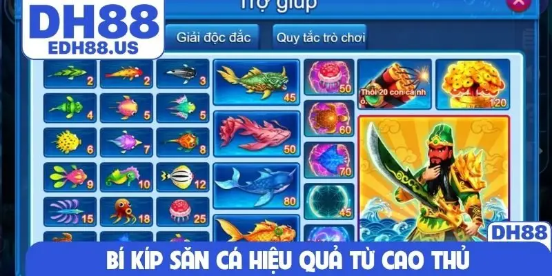 Bí kíp săn cá hiệu quả từ cao thủ