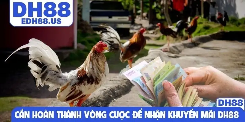 Cần hoàn thành vòng cược để nhận khuyến mãi DH88