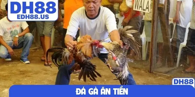 Đá gà ăn tiền