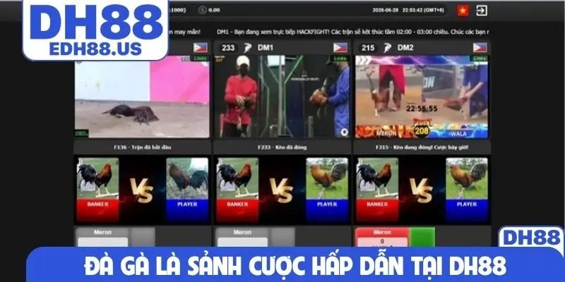 Đà gà là sảnh cược hấp dẫn tại DH88