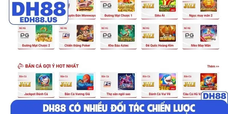DH88 có nhiều đối tác chiến lược