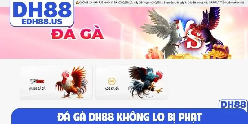 Đá gà DH88 là nơi không cần lo bị phạt