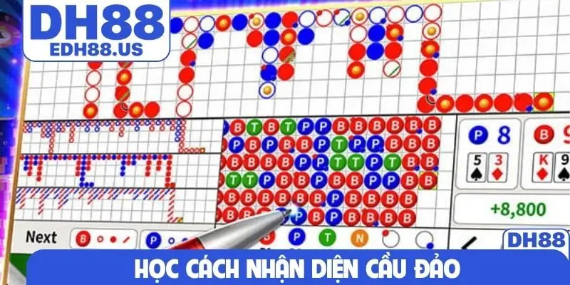 Học cách nhận diện cầu đảo