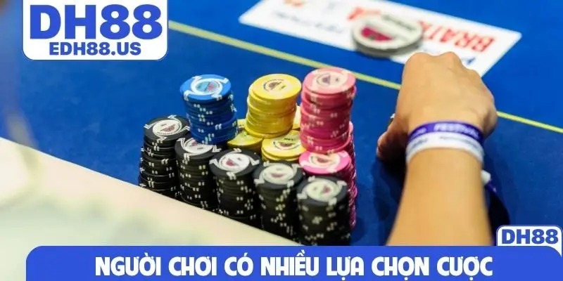 Người chơi có nhiều lựa chọn cược