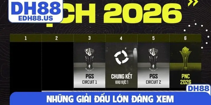 Những giải đấu lớn đáng xem