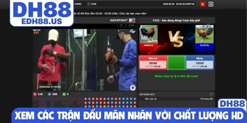 Xem các trận đấu mãn nhãn với chất lượng HD