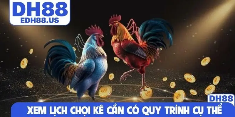 Xem lịch chọi kê cần có quy trình cụ thể