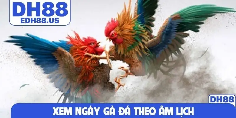 Xem ngày gà đá theo âm lịch